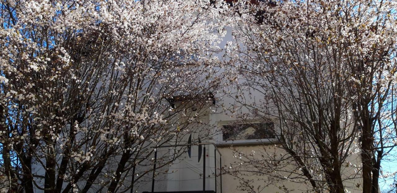 Apple Tree Lägenhet Zagreb Exteriör bild