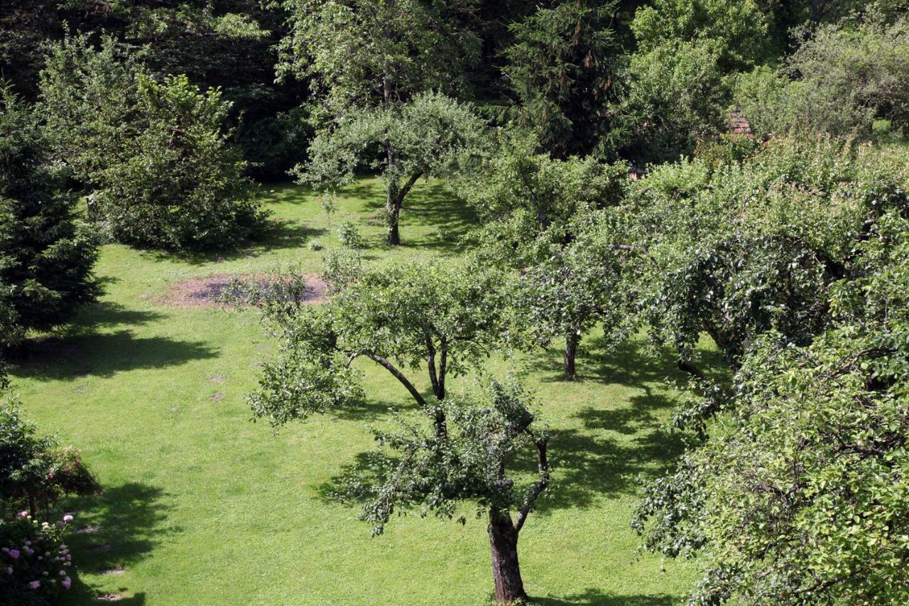 Apple Tree Lägenhet Zagreb Exteriör bild